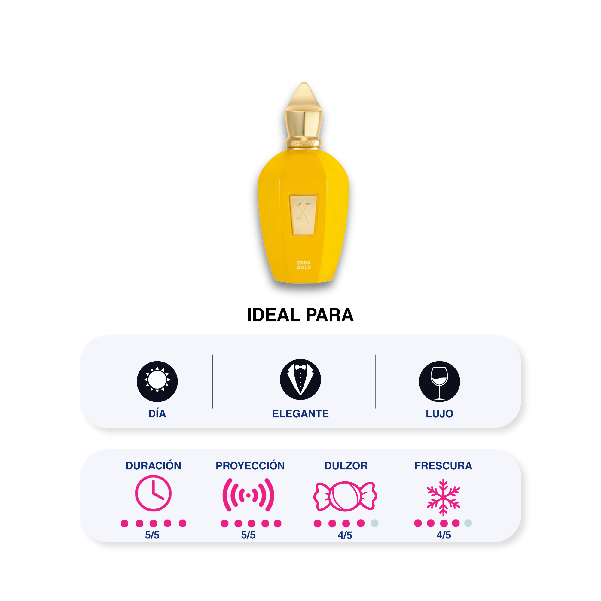 XERJOFF ERBA GOLD 100 ML